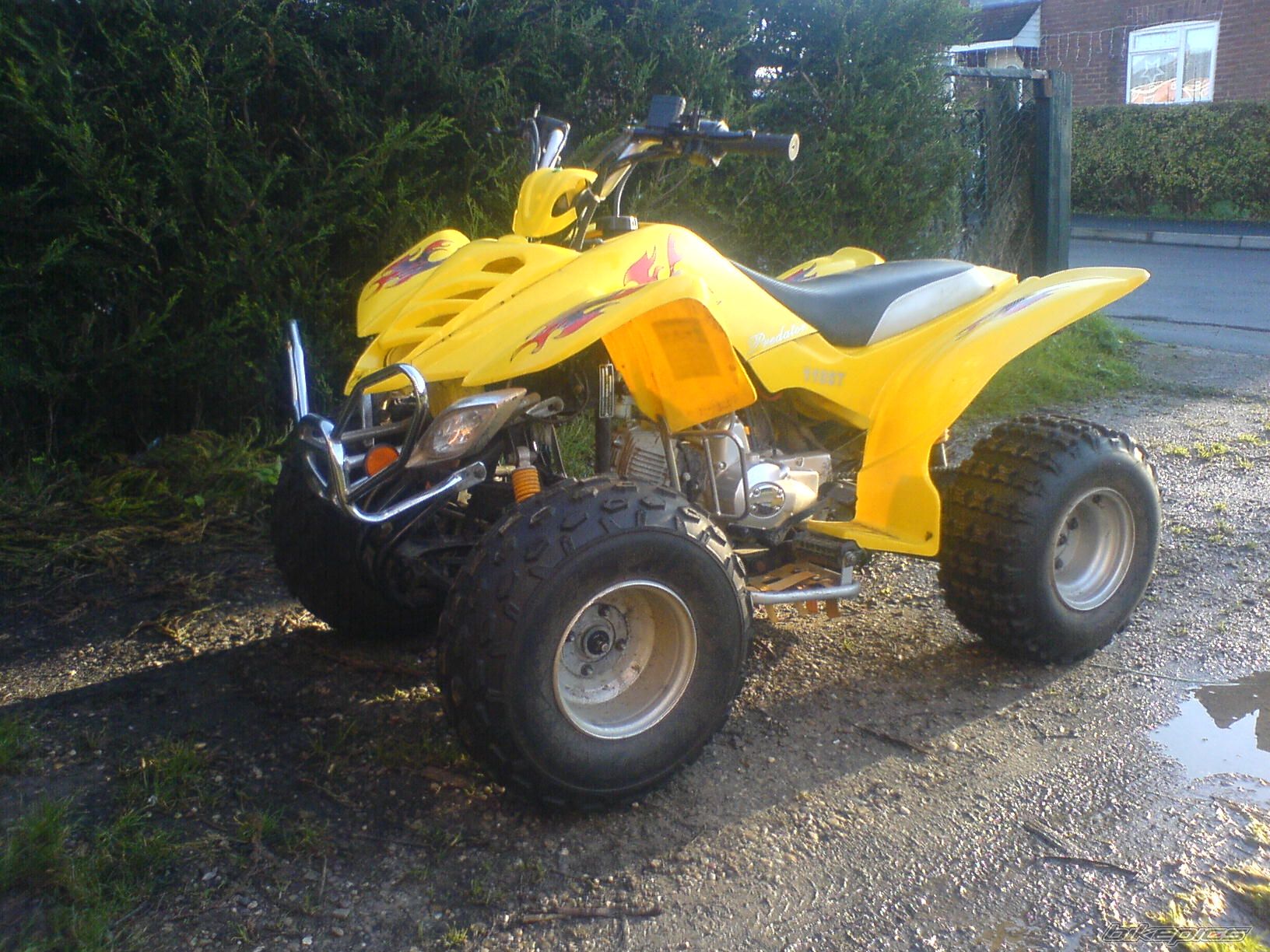Photo 748859