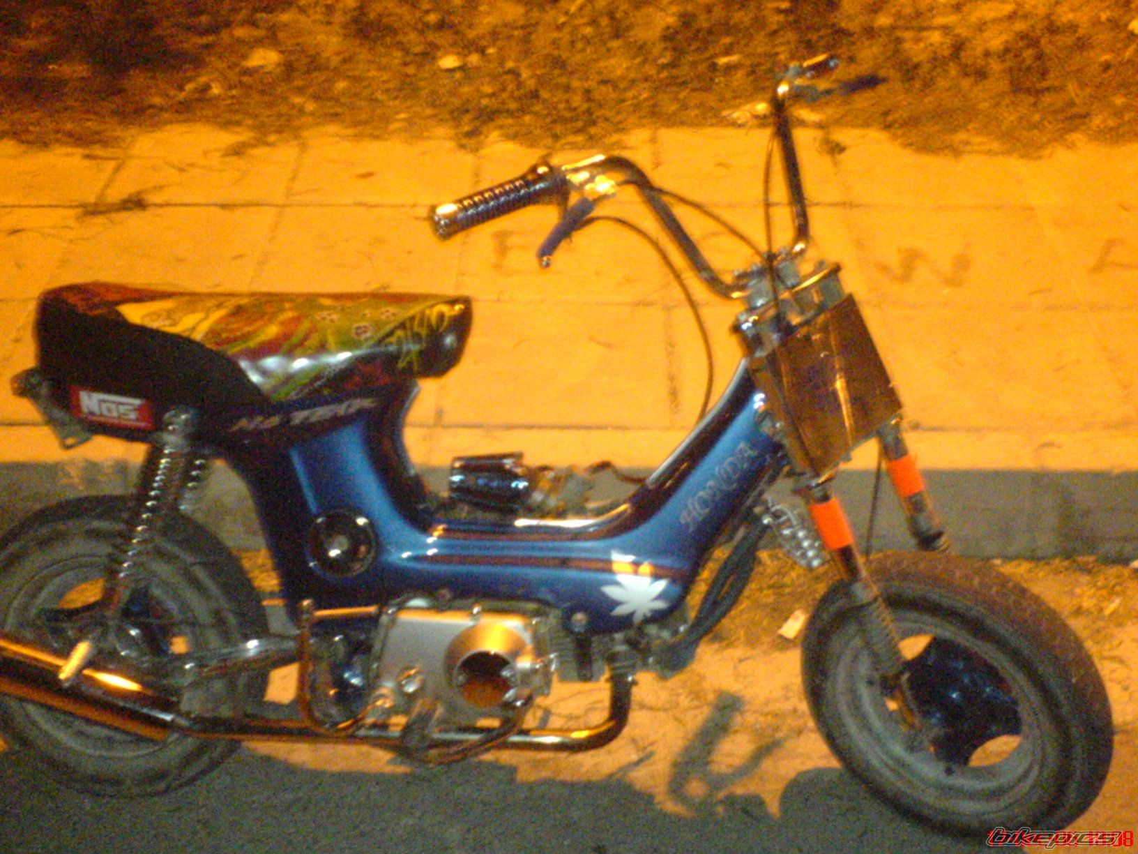 Photo 748869