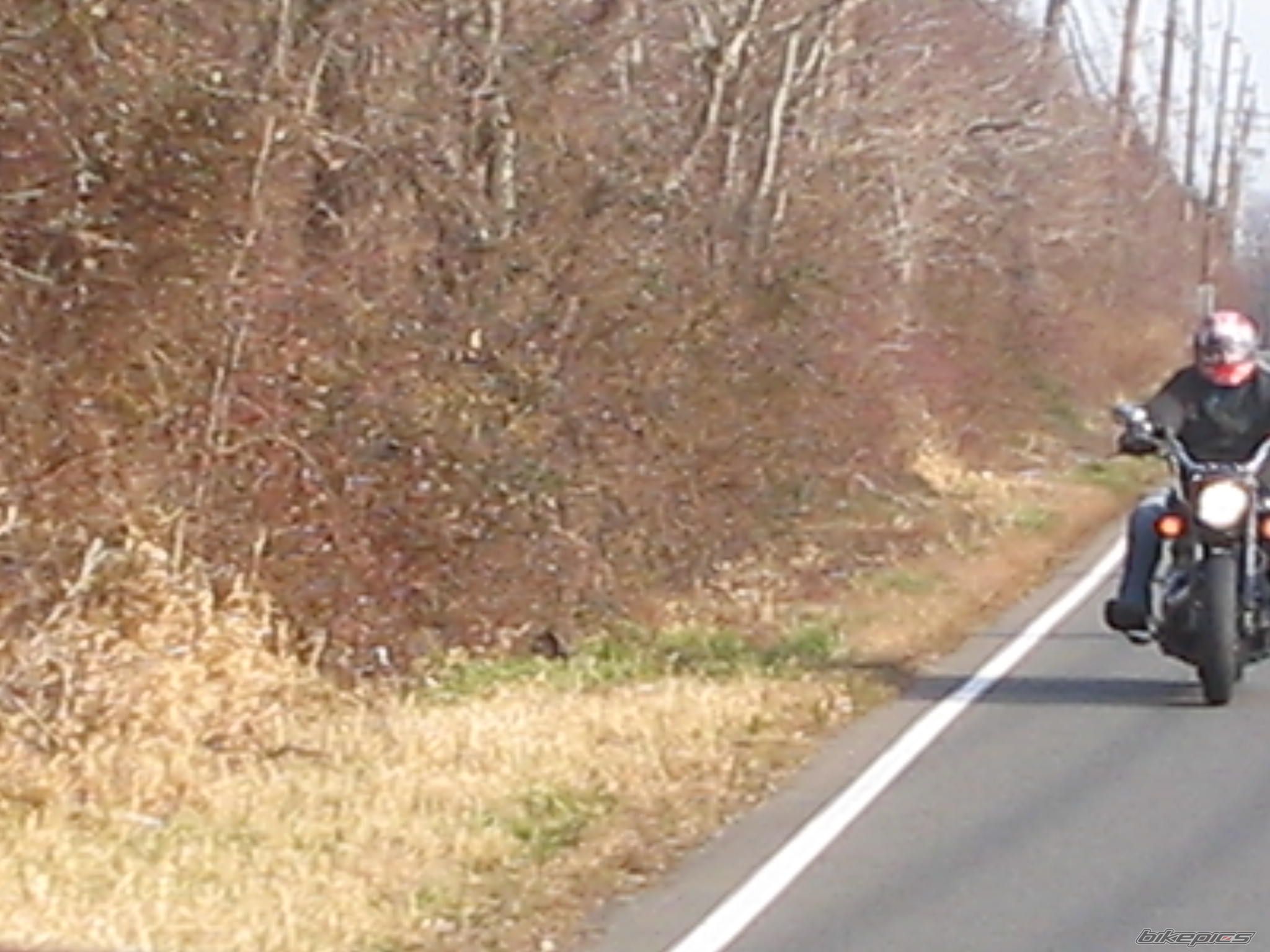 Photo 749136