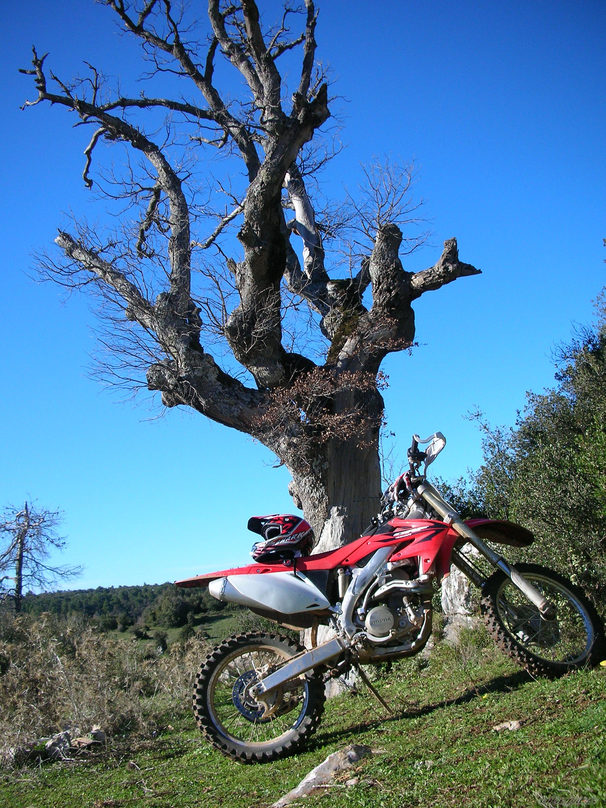 Bike Photo 749162