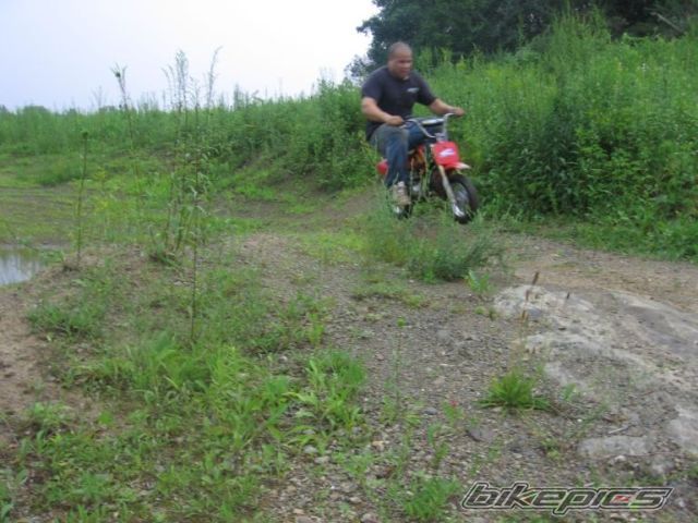 Photo 749239