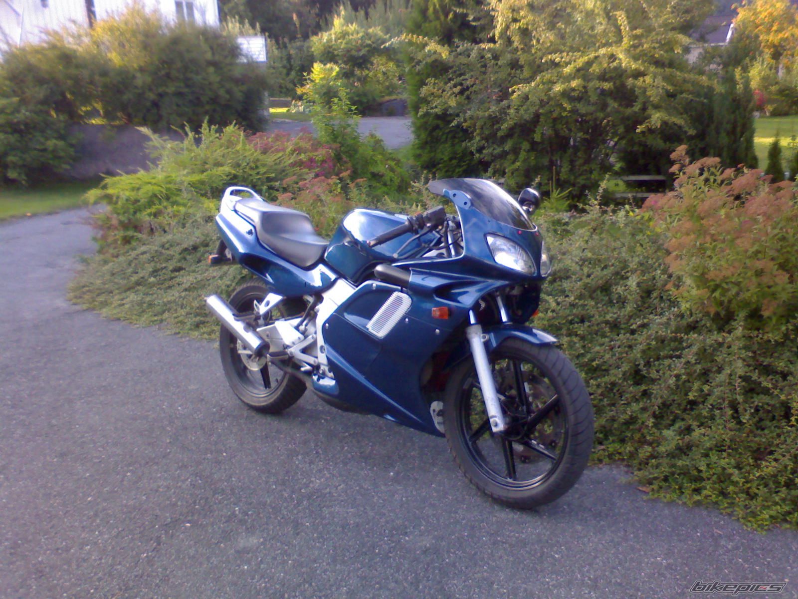 Photo 749675