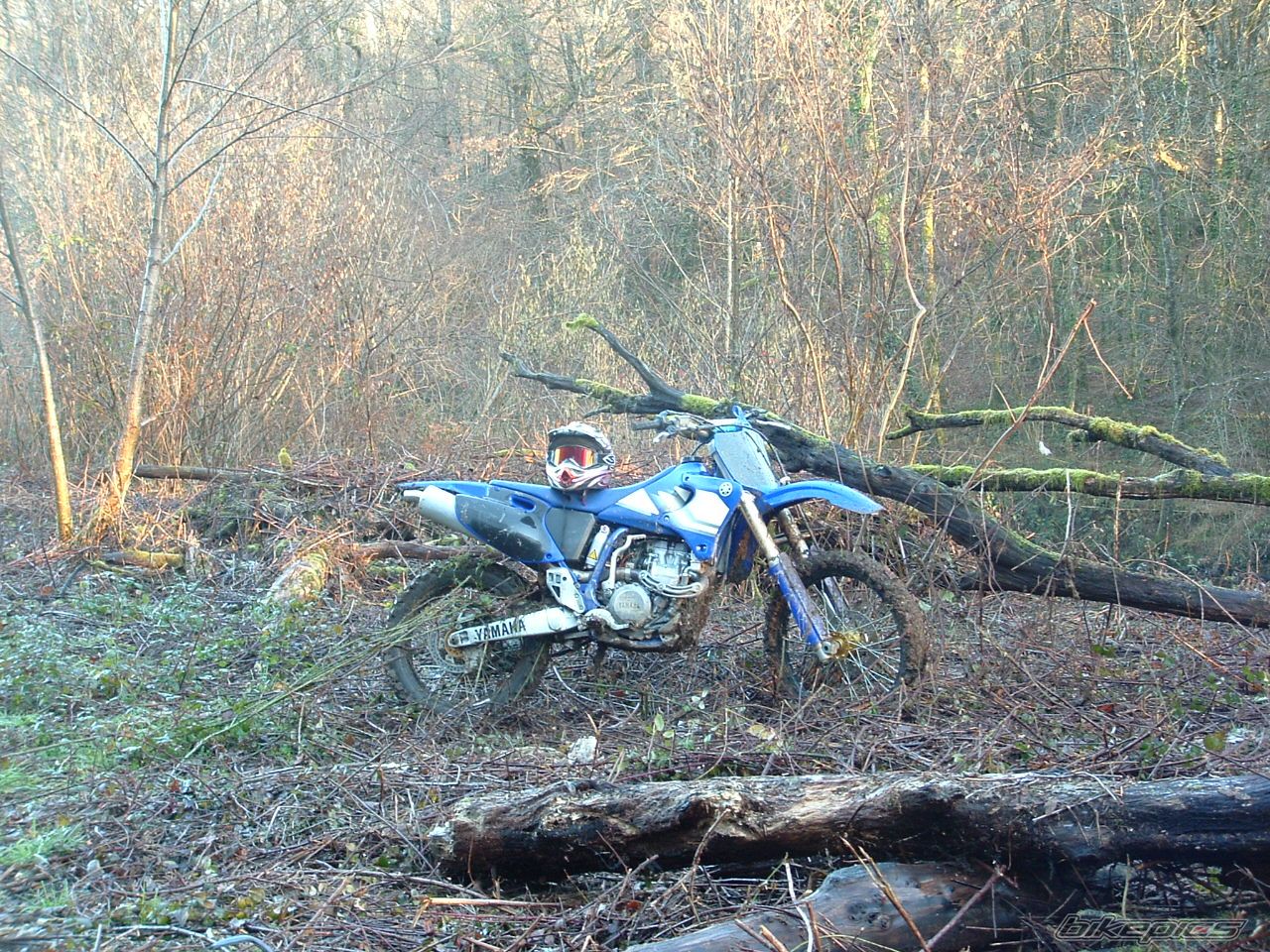 Bike Photo 749702
