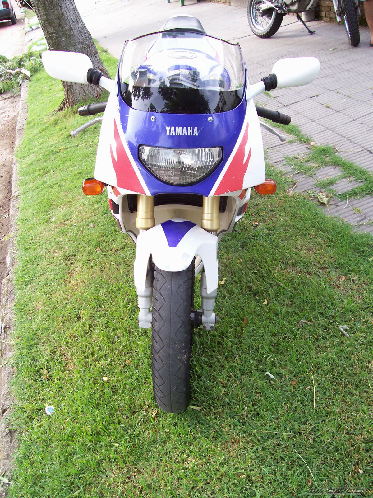 Photo 749933