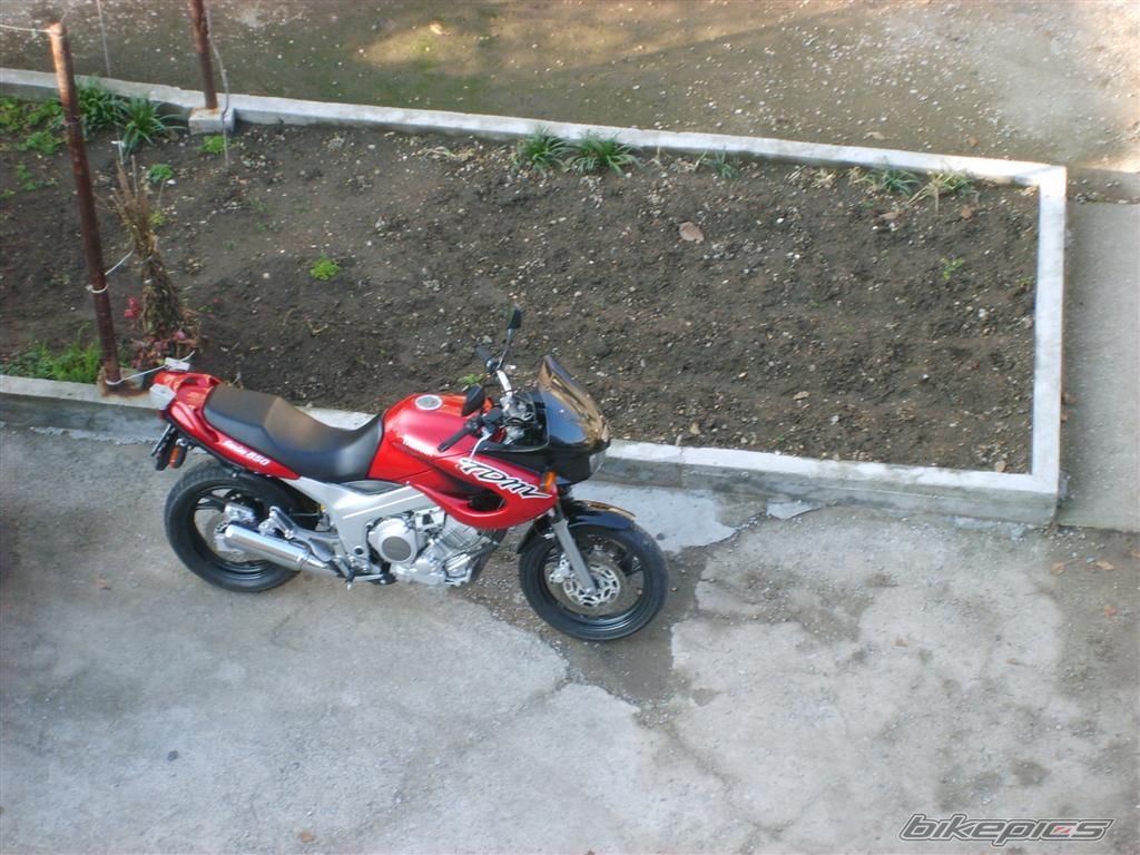 Photo 749936