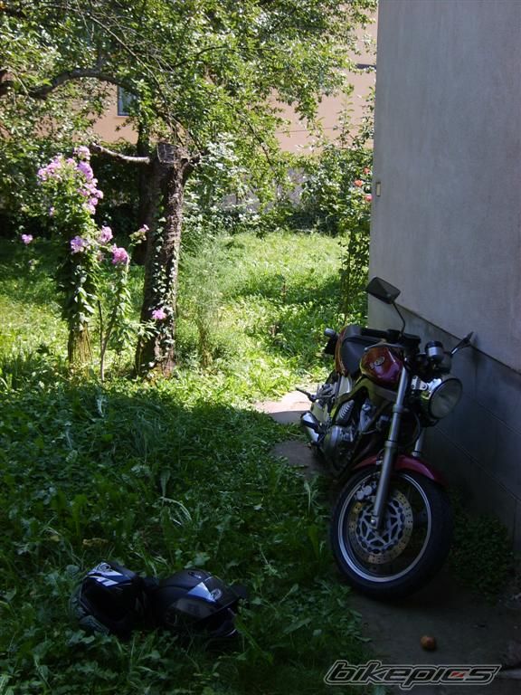 Photo 749946
