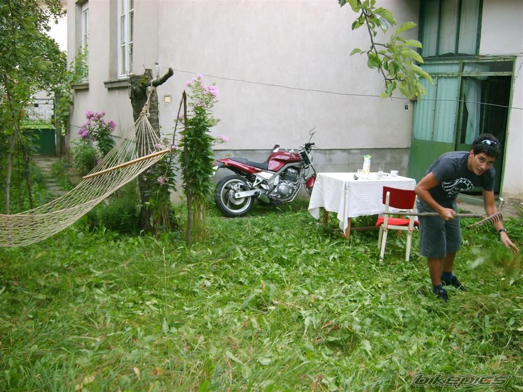 Photo 749948