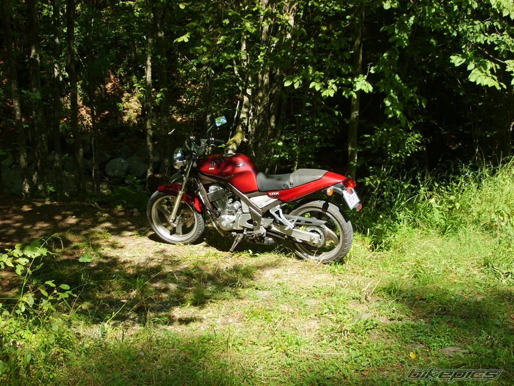 Photo 749964