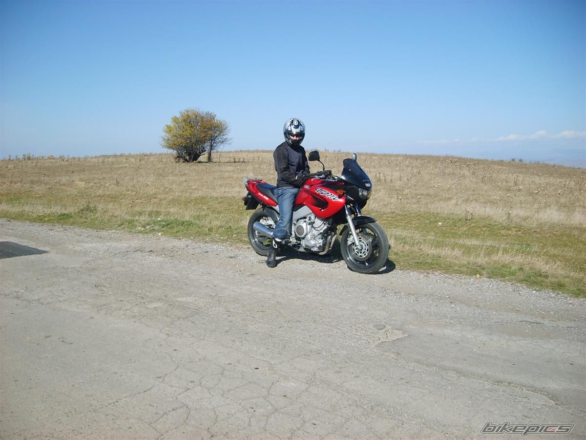 Photo 749969