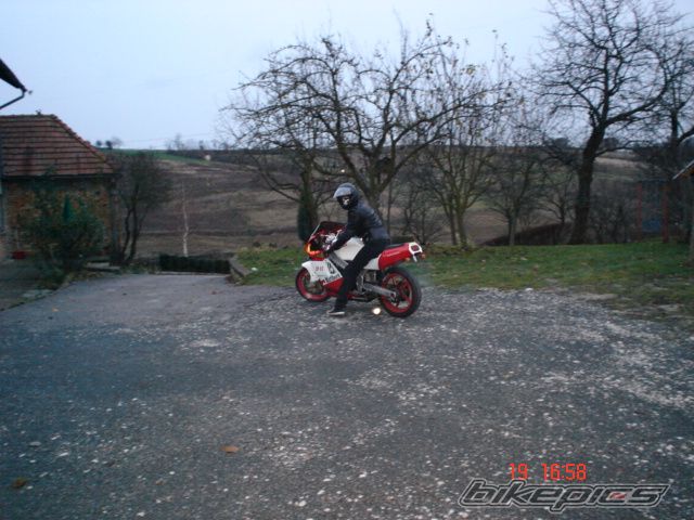 Photo 750455