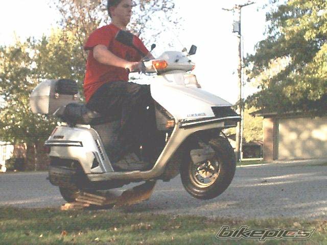 Photo 75080