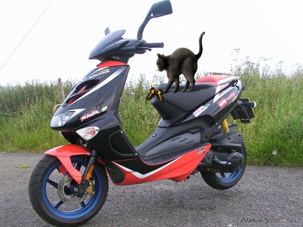 Bike Photo 75101