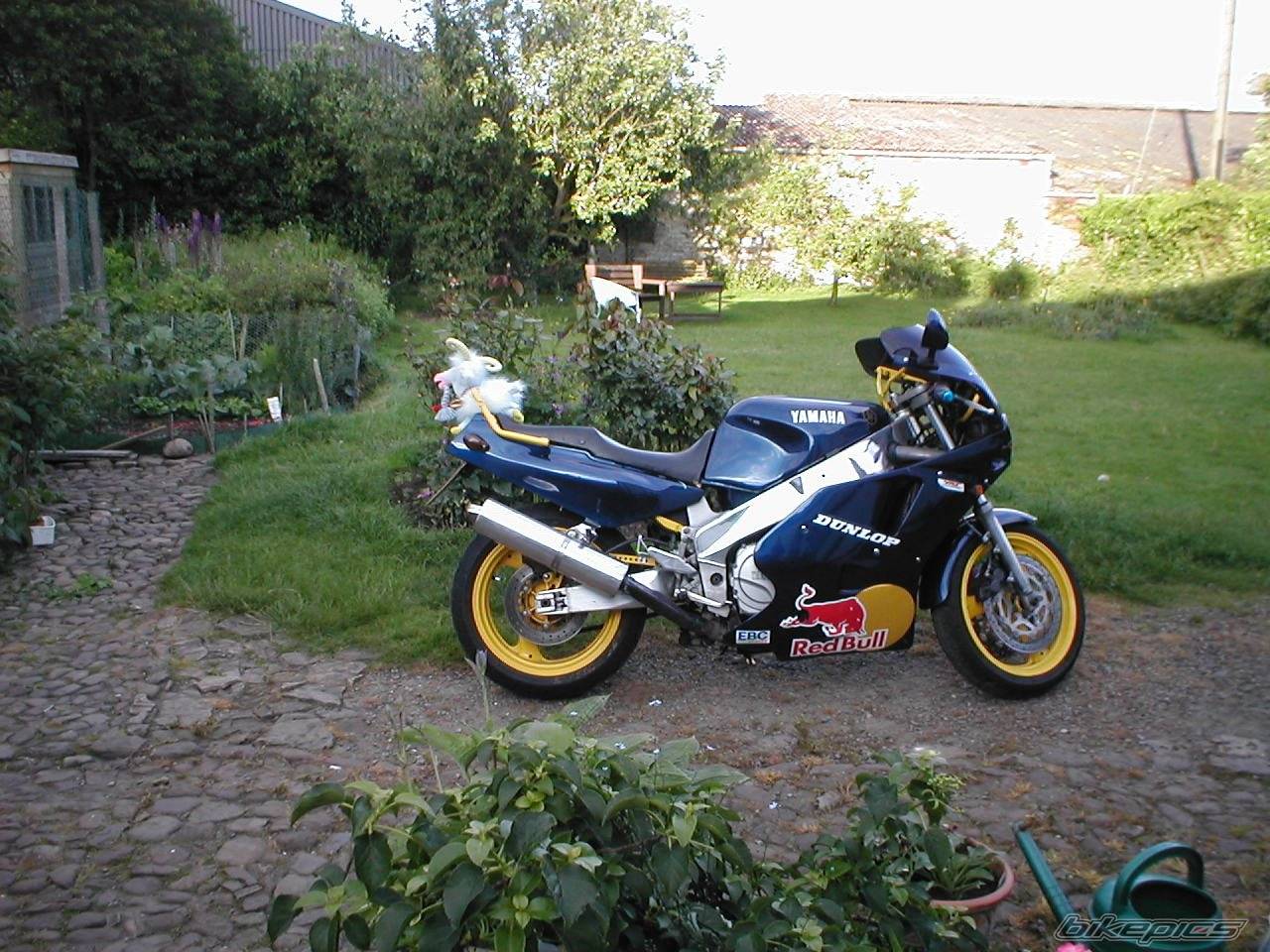 Photo 75122