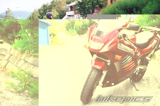 Photo 7518