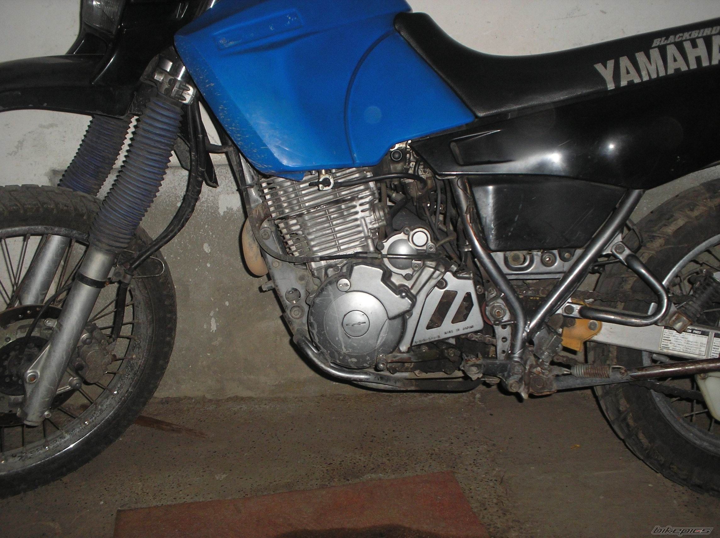 Photo 751930