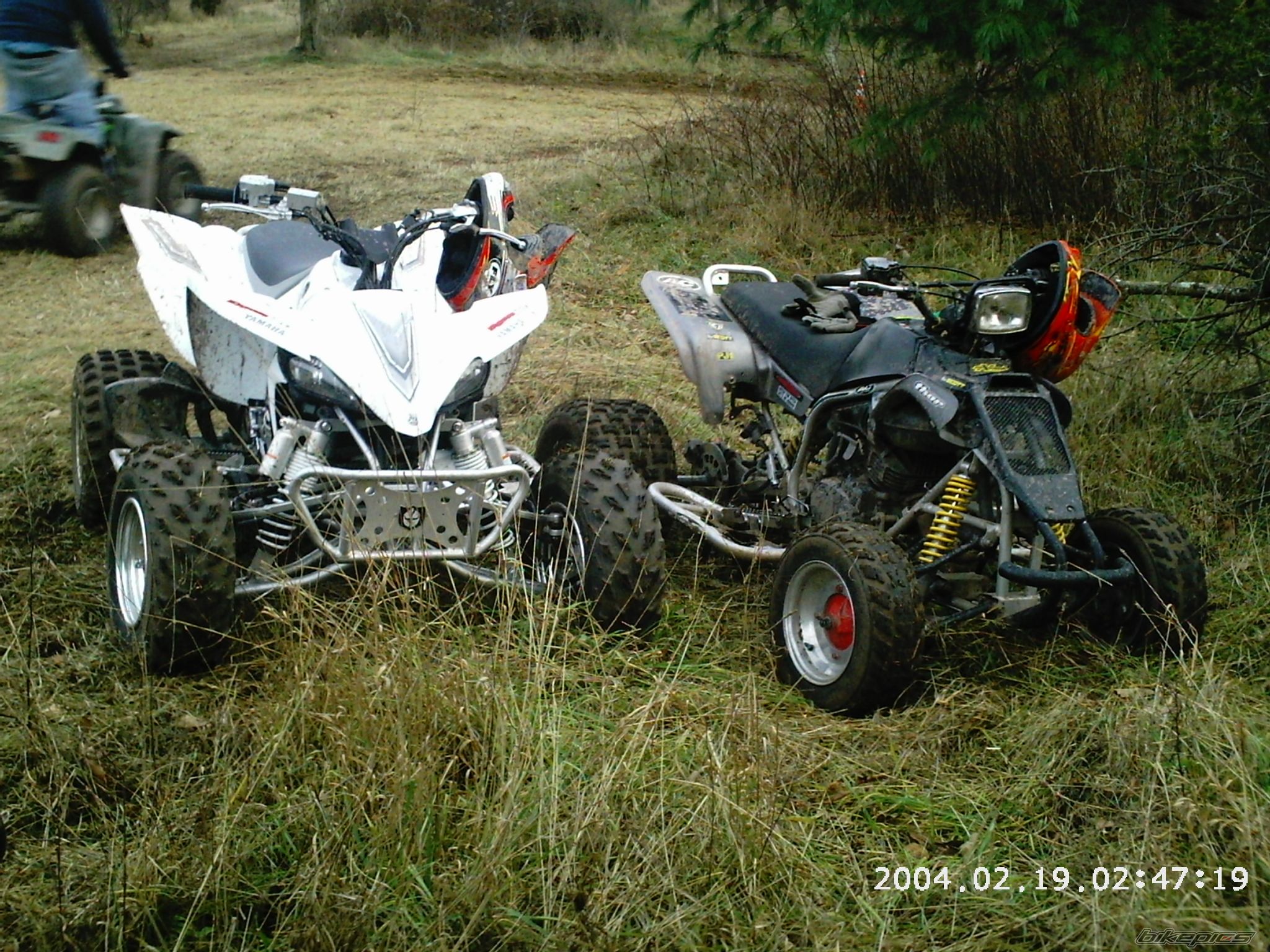 Photo 751943