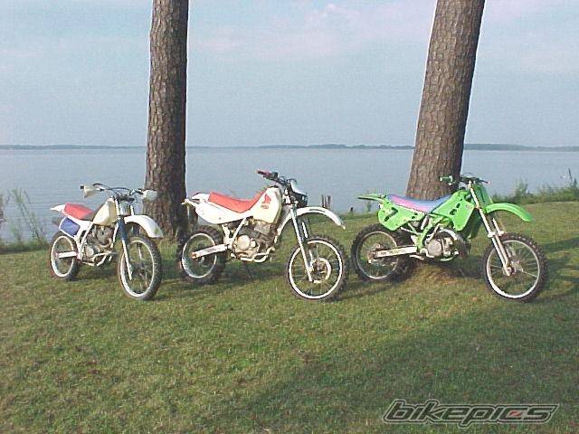 Bike Photo 75220