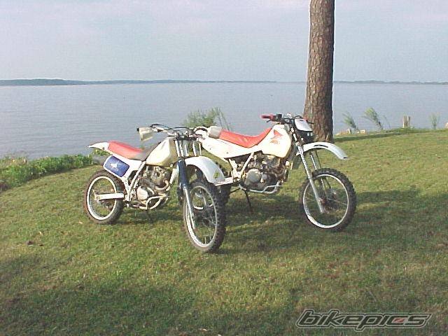 Bike Photo 75221