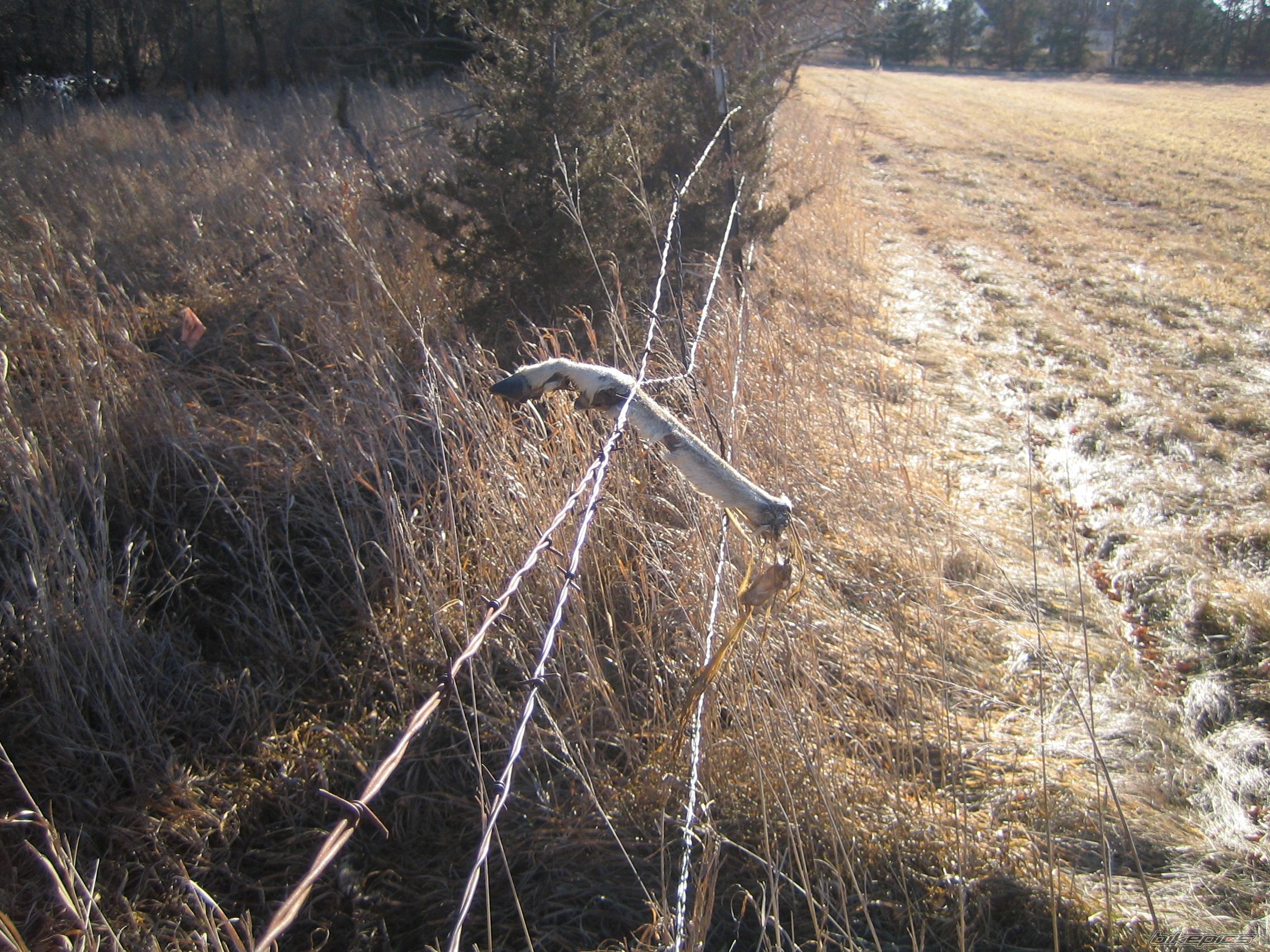 Photo 752363