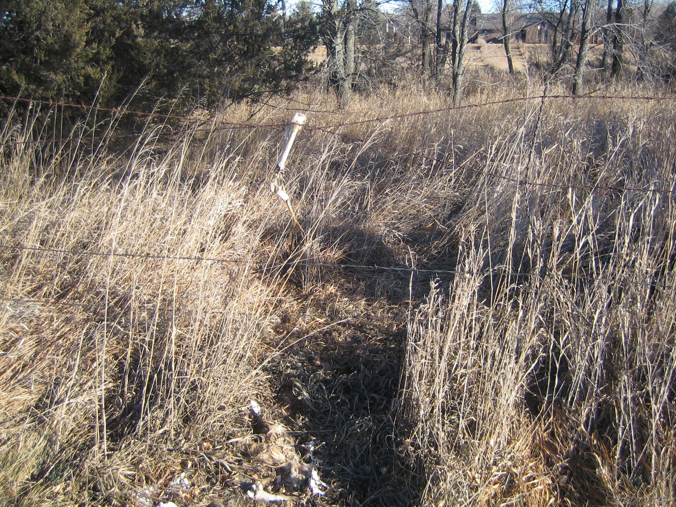 Photo 752364