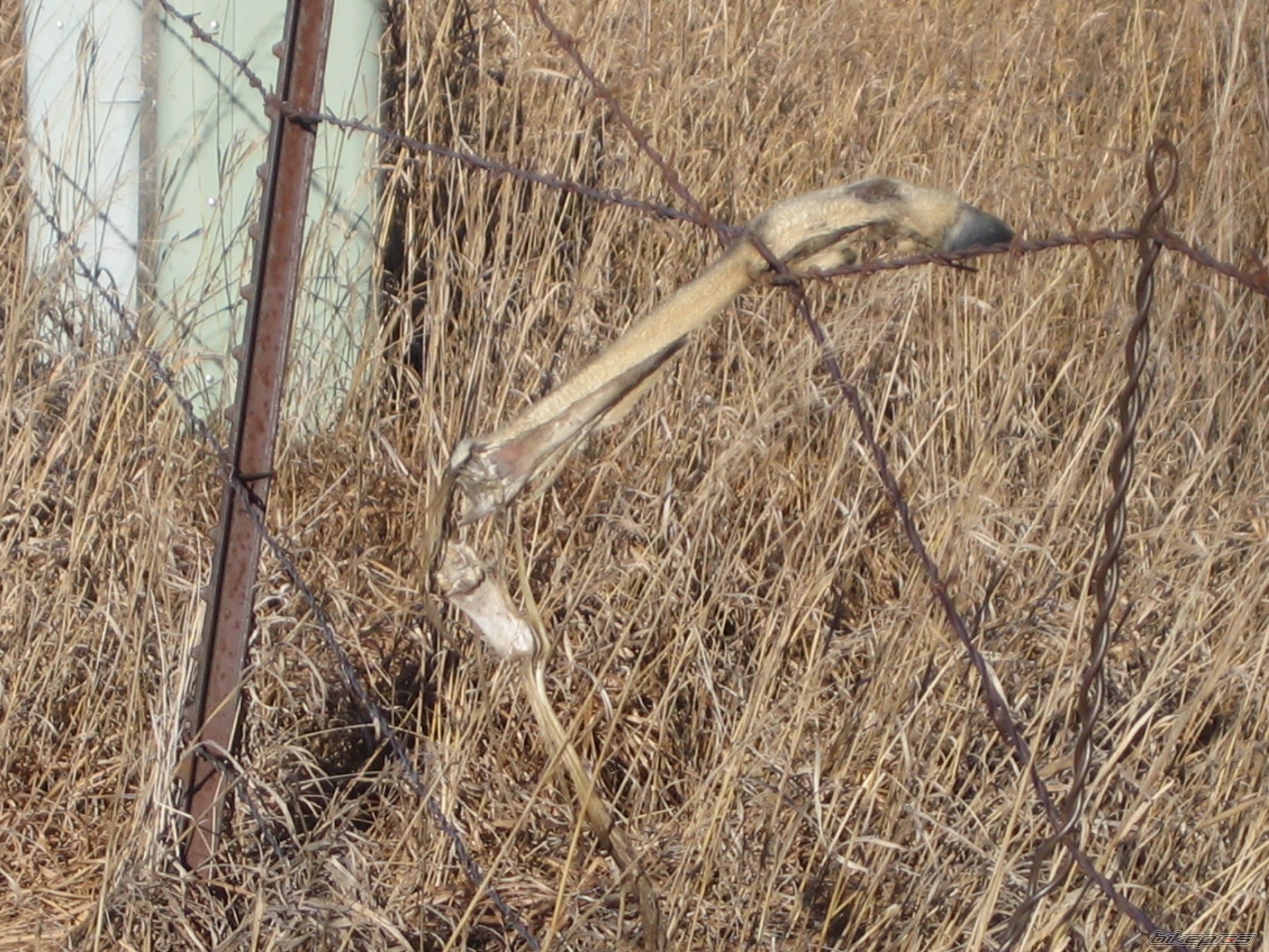Photo 752366