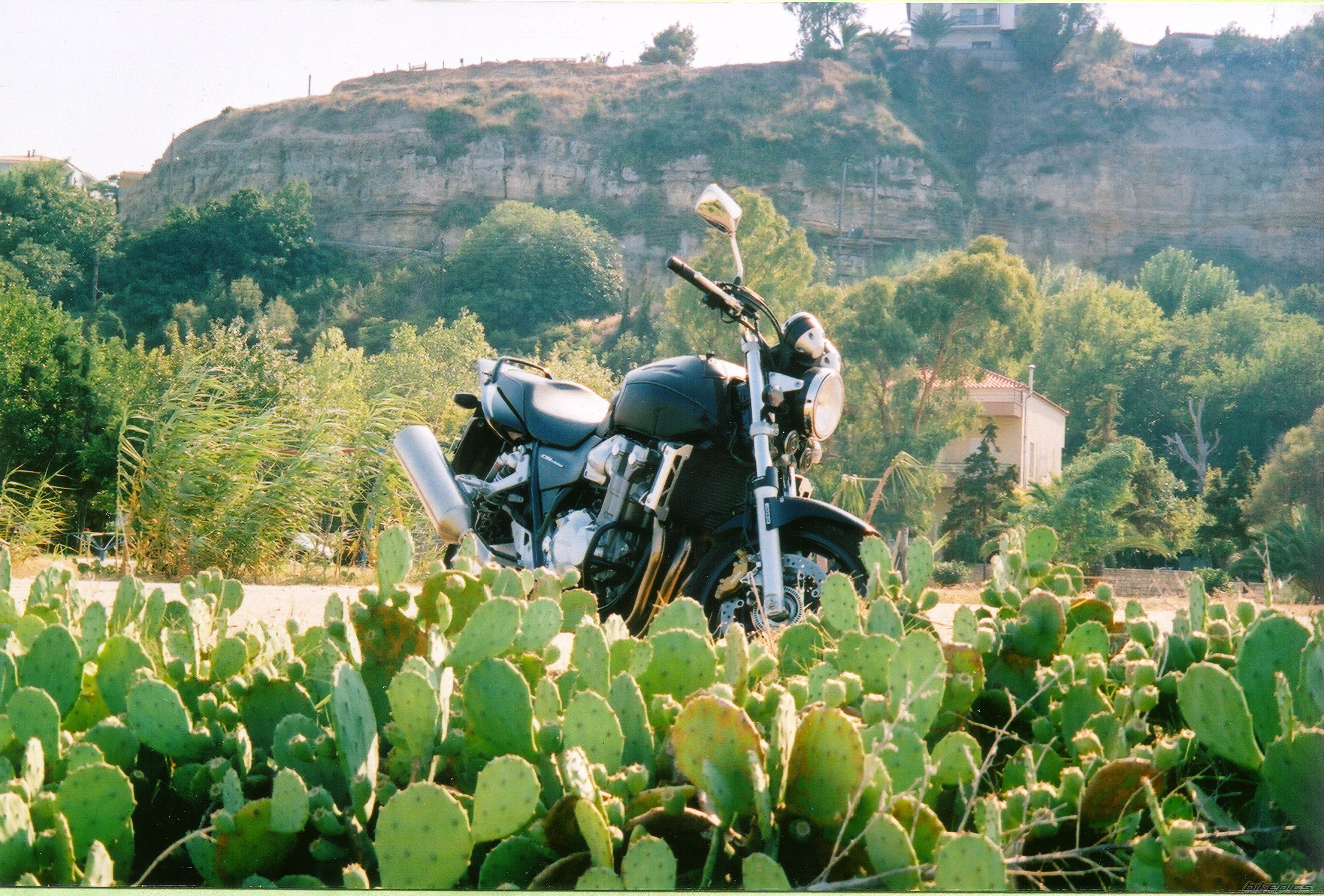 Bike Photo 752597