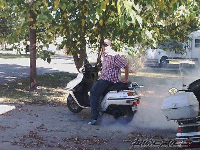 Photo 75260