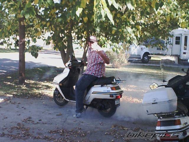 Photo 75262