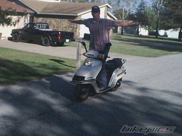 Photo 75264