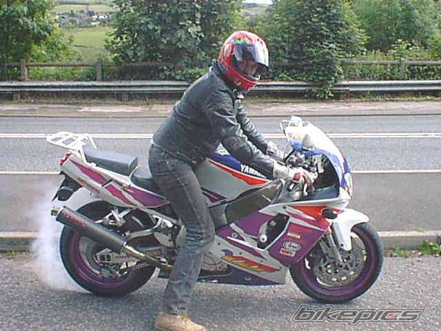 Photo 7533
