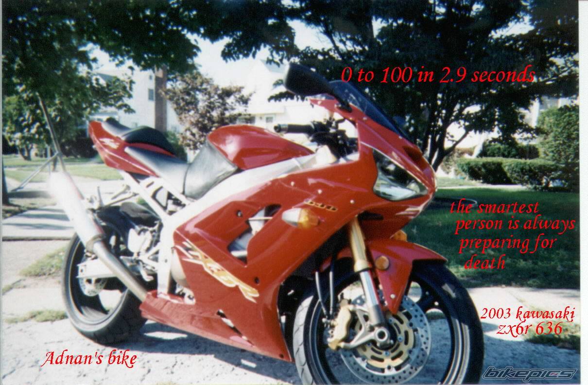 Photo 75347
