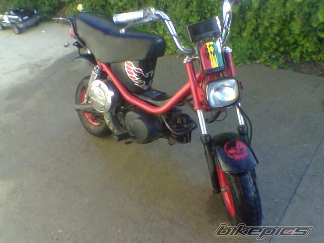 Photo 753564