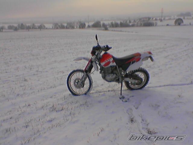 Photo 753682
