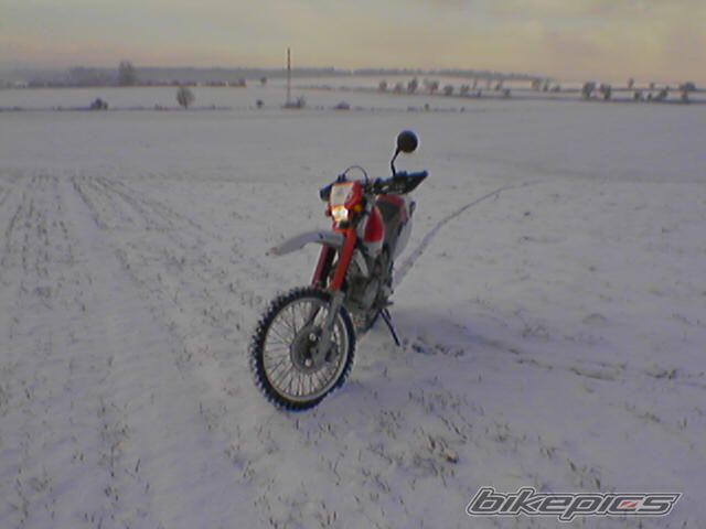 Photo 753683