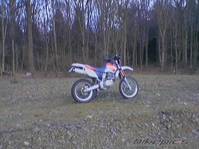 Photo 753705