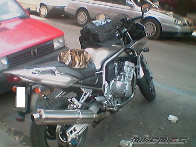 Bike Photo 753747