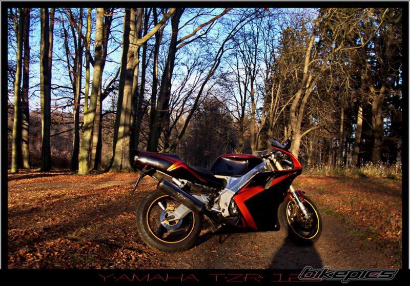 Bike Photo 754496