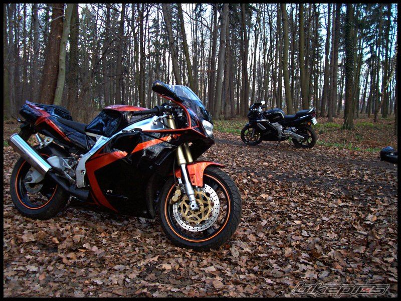 Bike Photo 754498
