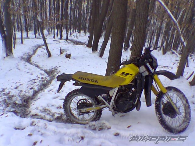 Photo 755398