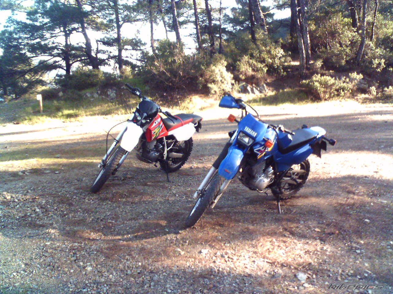 Bike Photo 756099