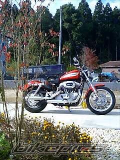 Photo 757233