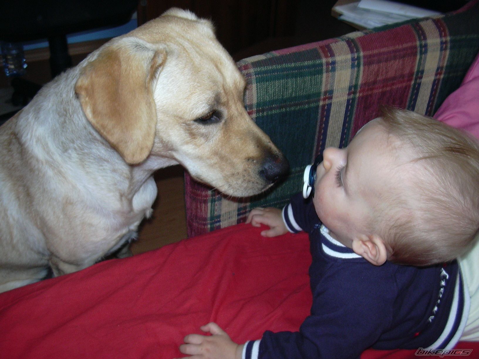 Photo 757745