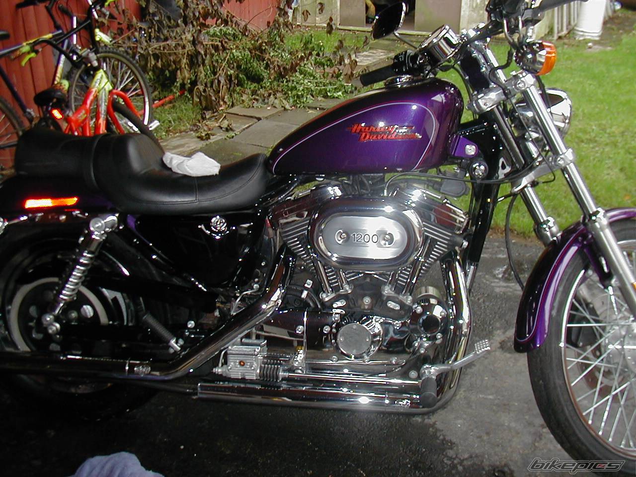 Photo 75809