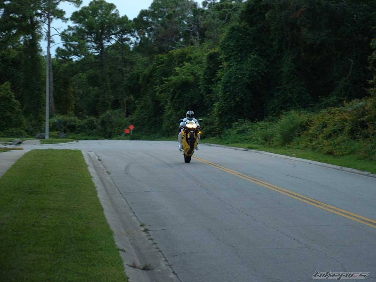 Photo 7586