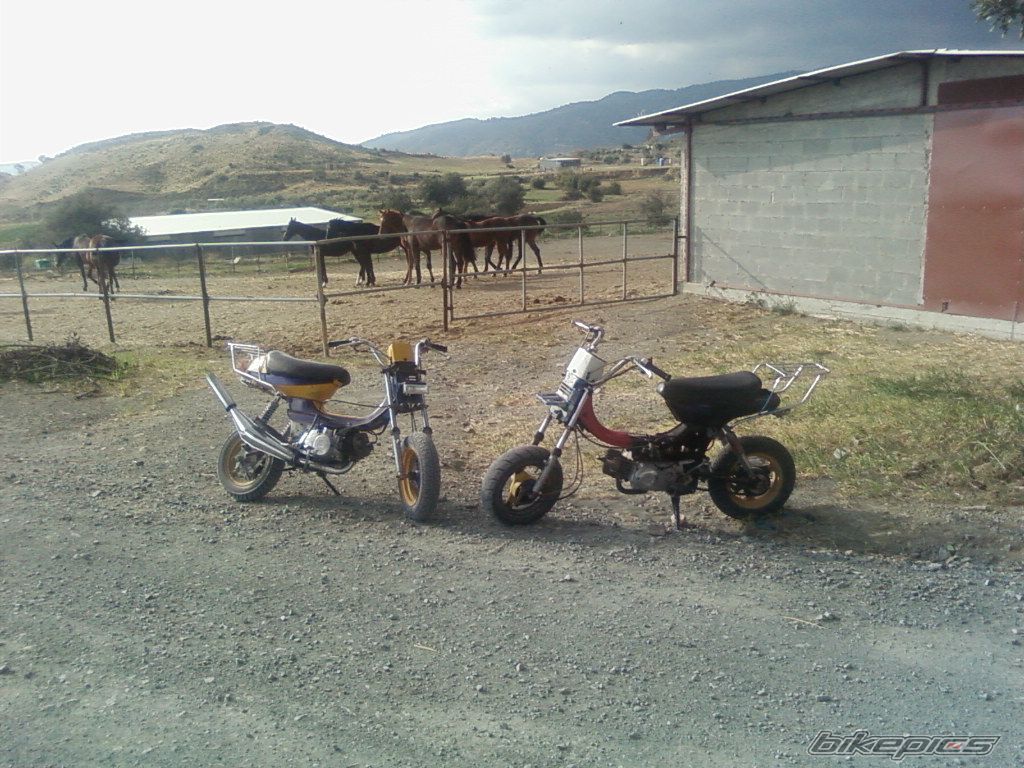 Photo 758607