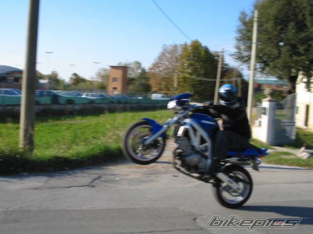Photo 75895