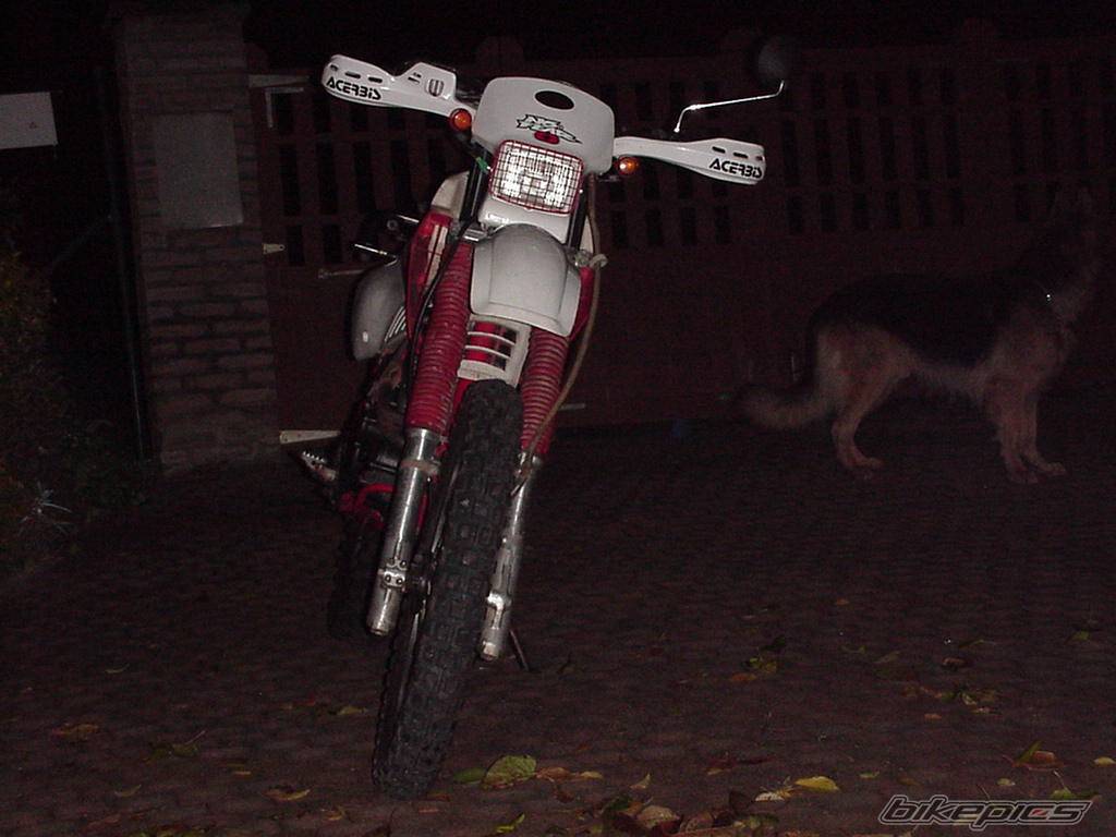 Photo 75923
