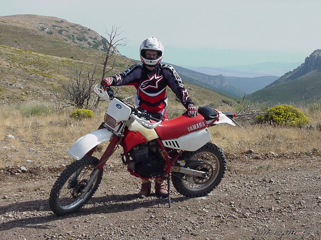 Bike Photo 75927