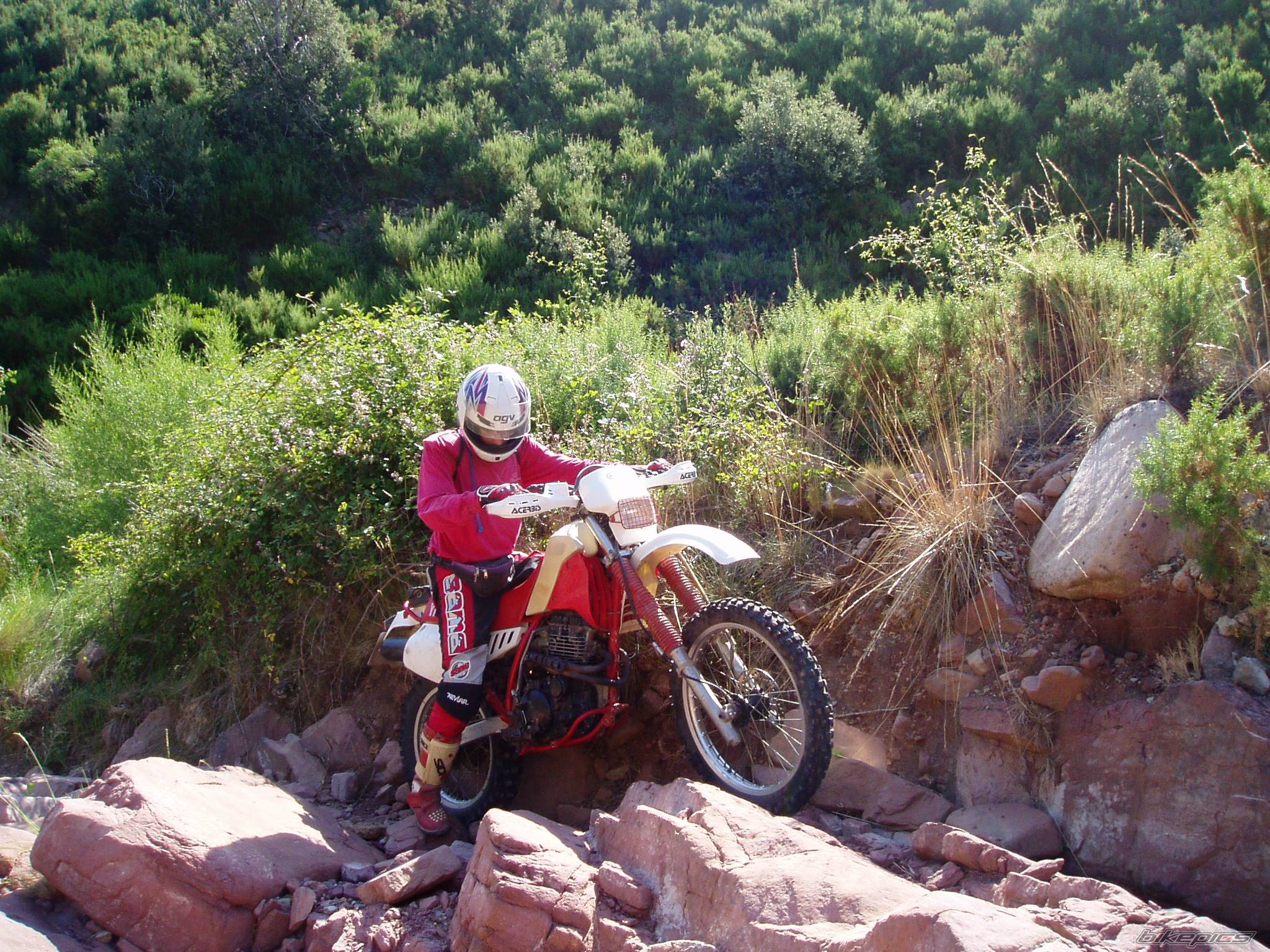 Bike Photo 75933