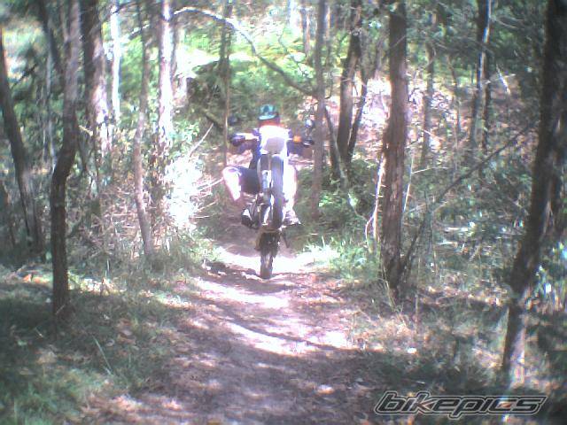 Photo 76151